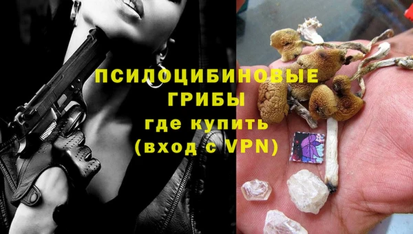 дурь Бугульма