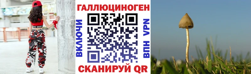 сколько стоит  Новочебоксарск  Псилоцибиновые грибы ЛСД 